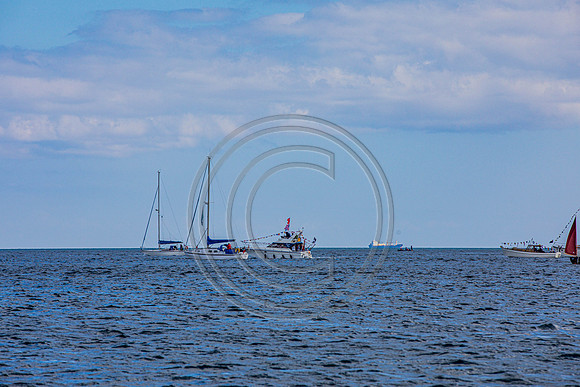 0G8A2843