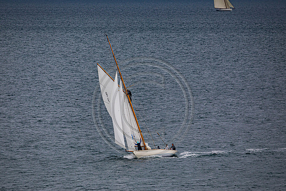 0G8A2294