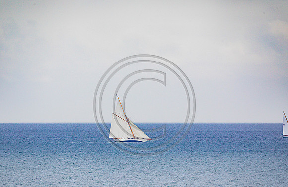 0G8A2242