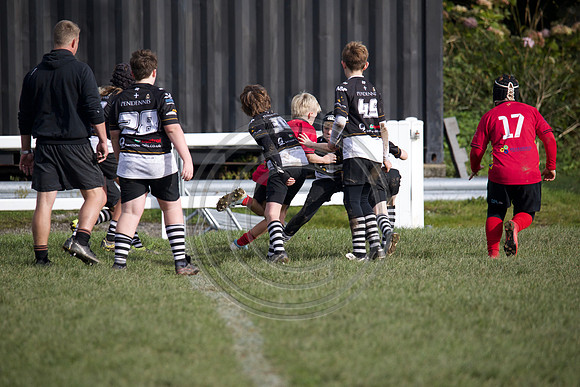 0G8A2263