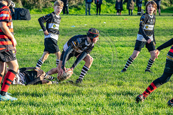 0G8A2992