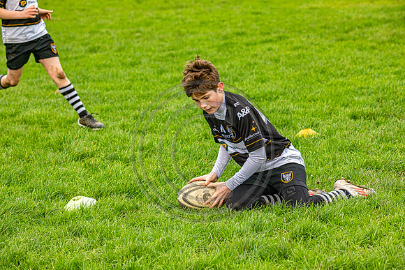 0G8A3203