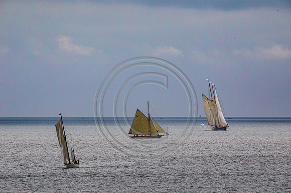 0G8A2318