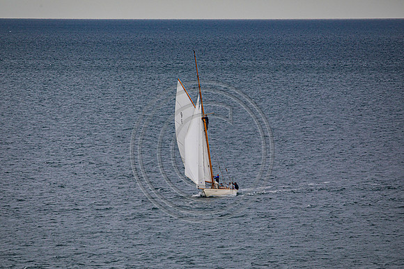 0G8A2290