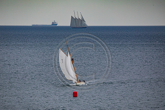 0G8A2286