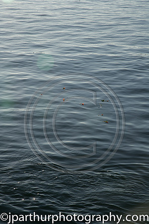 ZW9U0136-2