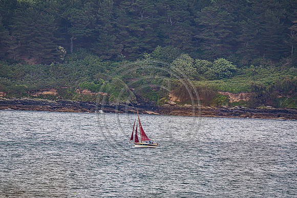 0G8A2268