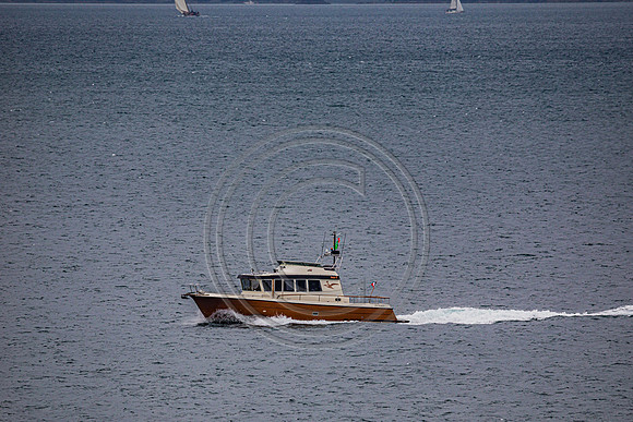 0G8A2279