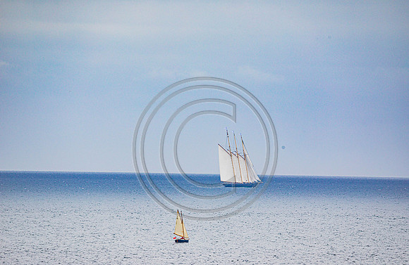 0G8A2251