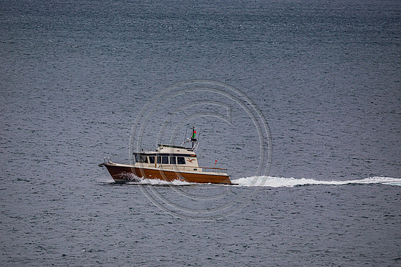 0G8A2278