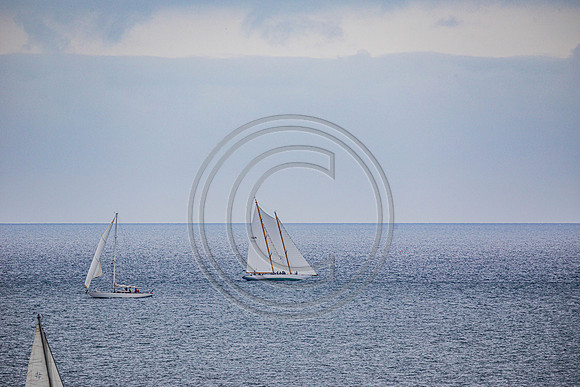 0G8A2081