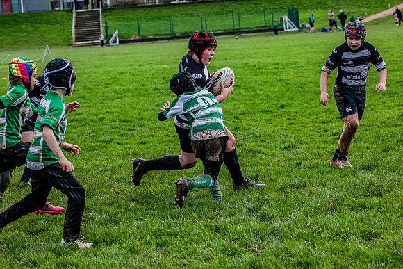 0G8A2482