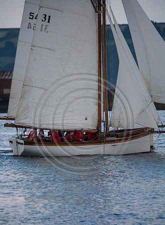 ZW9u0487-edit-24