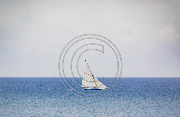 0G8A2240