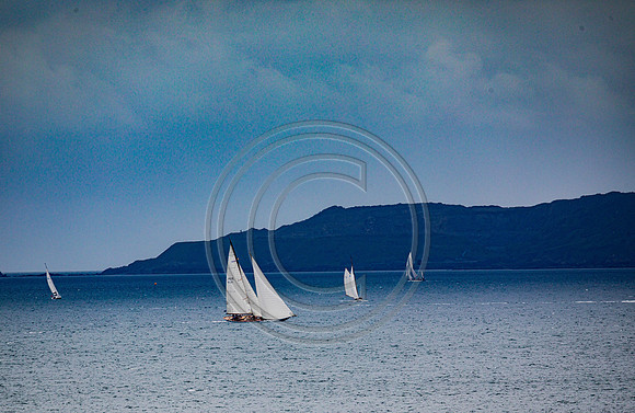 0G8A2246