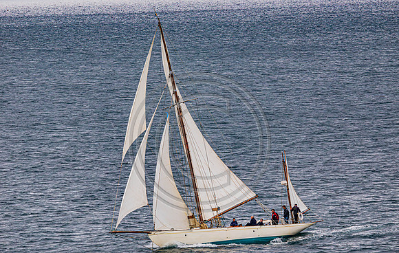 0G8A2368-Enhanced-NR