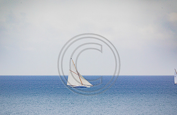 0G8A2241