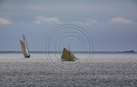 0G8A2335