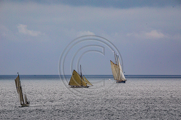0G8A2320