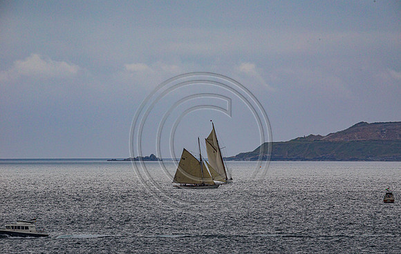 0G8A2351