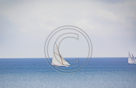 0G8A2244