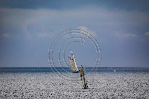 0G8A2304