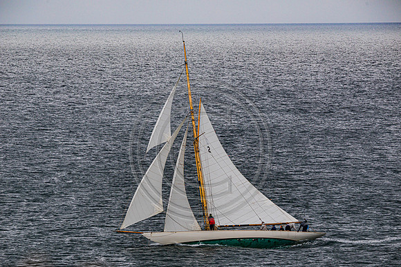 0G8A2257