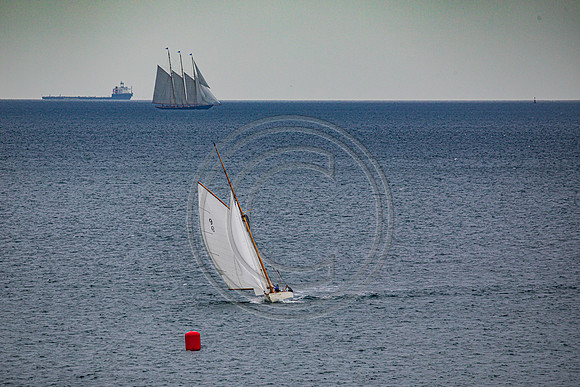 0G8A2282