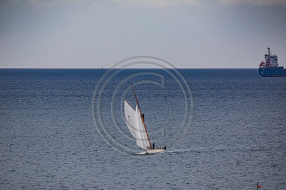 0G8A2280
