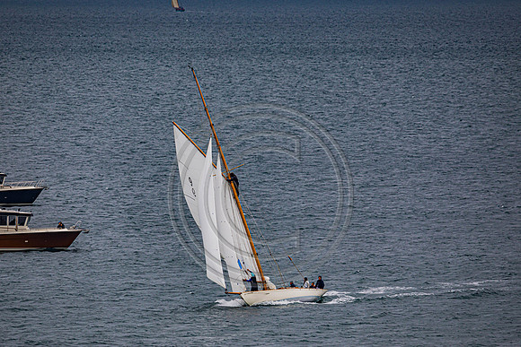 0G8A2295