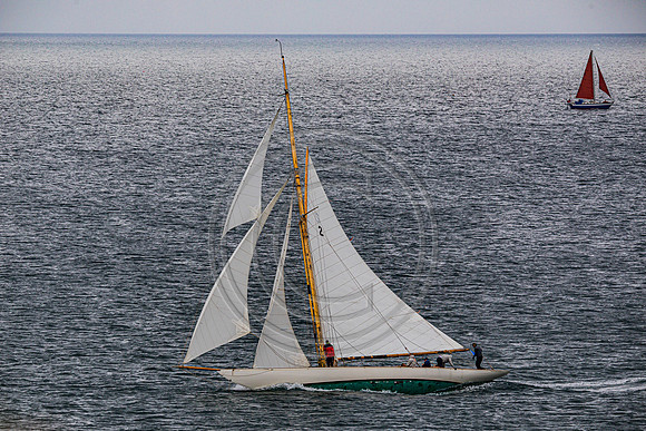 0G8A2256