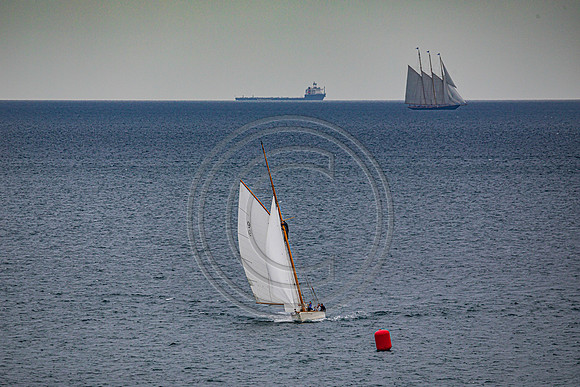 0G8A2289