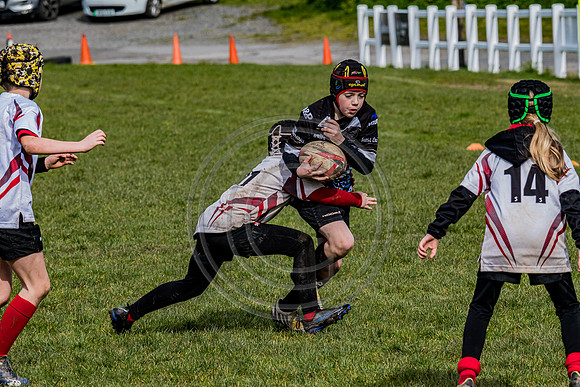 0G8A4179