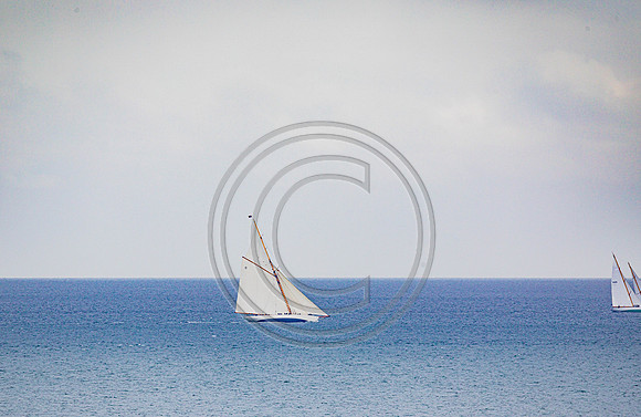 0G8A2243