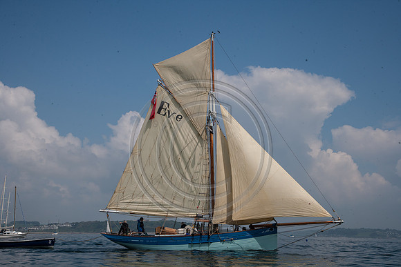 ZW9u0487-edit-6-5