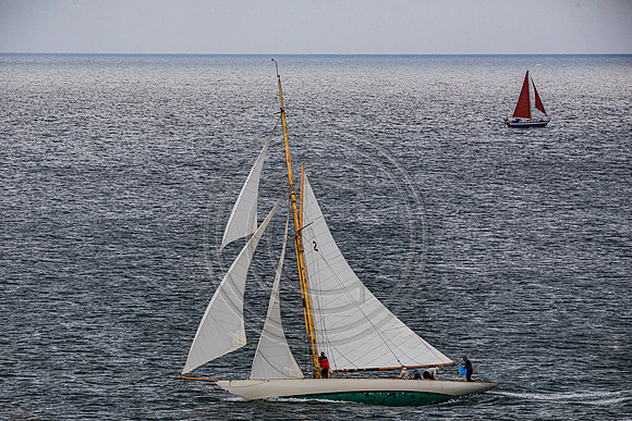 0G8A2255