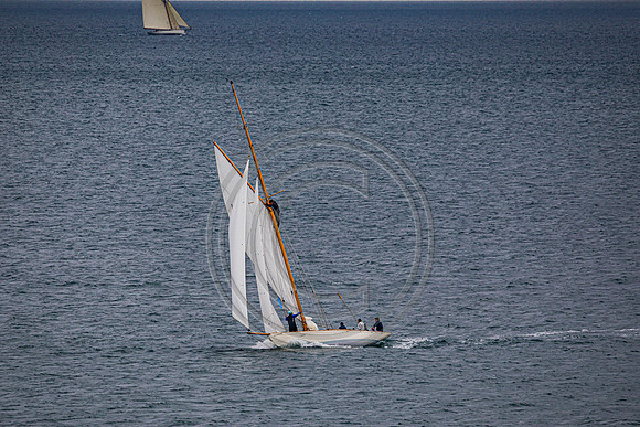 0G8A2293