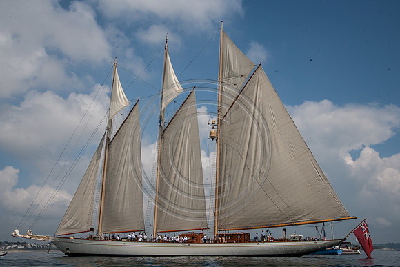 ZW9u0487-edit-8-4