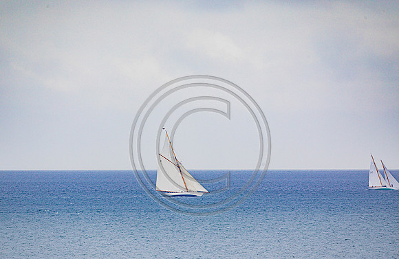 0G8A2245