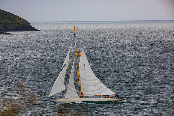 0G8A2258