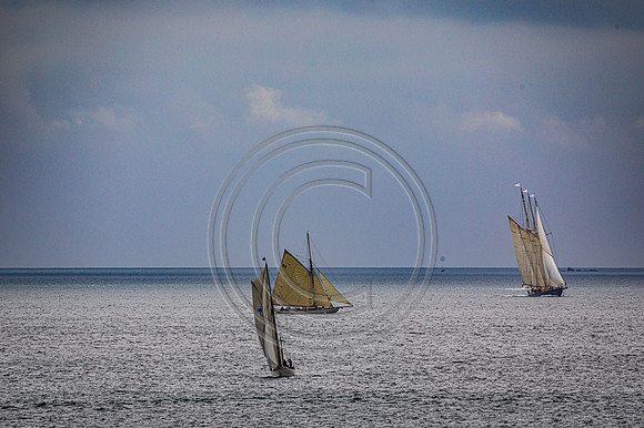 0G8A2316