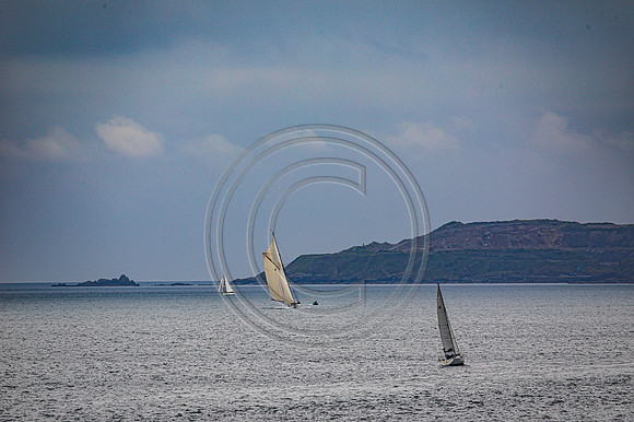 0G8A2301